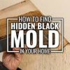 Mold Finder: Unearthing Hidden Mold Issues