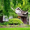 ing for Curb Appeal: Enhancing Your Home's AestheticsTree Trimm